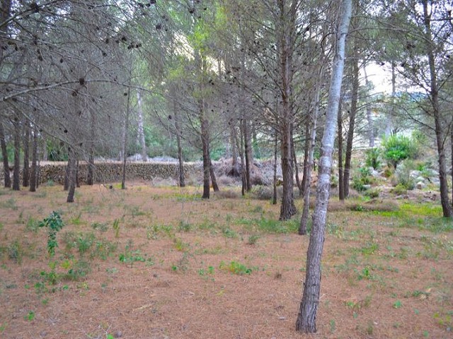 Foto propiedad 5