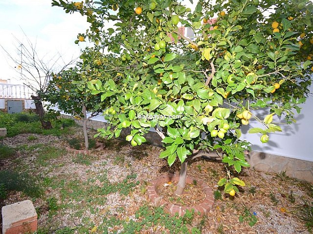 Foto propiedad 6